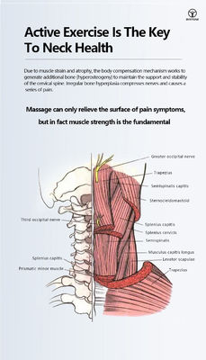 L'écran d'ordinateur cervical de rigidité d'épine tiennent l'ergonomie tournante