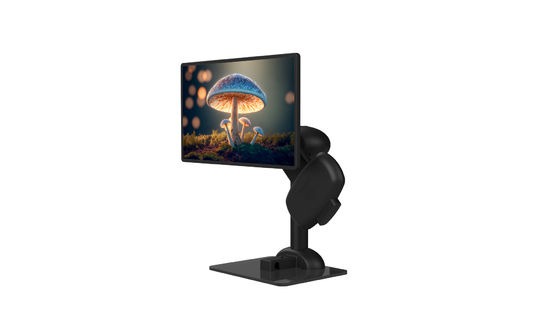 Le bras d'ordinateur portable de rigidité de cou tiennent le bâti tournant de levage noir de moniteur