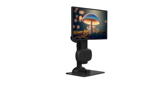 Conception paresseuse ergonomique d'ordinateur portable de santé de cou de bâti électrique de support