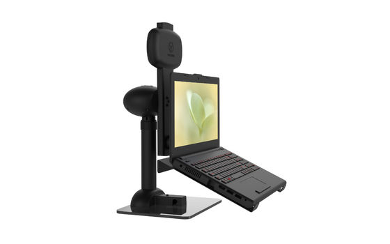 L'écran d'ordinateur portable de douleurs de dos arment la parenthèse paresseuse unique de moniteur de conception
