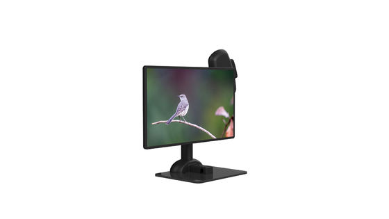 Bras ergonomique d'ordinateur portable d'affichage à cristaux liquides de rigidité d'épine de support unique de moniteur