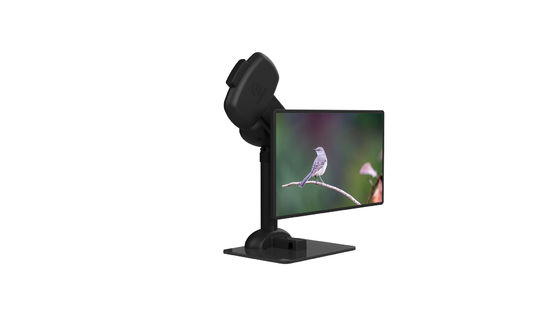 Pivot de levage d'affichage à cristaux liquides de rigidité de cou de bâti électrique de moniteur automatique