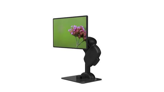 Mouvement professionnel de bras d'écran d'ordinateur portable lentement pour la rigidité de cou