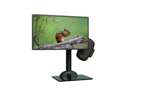 20 mm/min Moniteur électrique mobile de PC bras de support pour soulager la raideur du cou