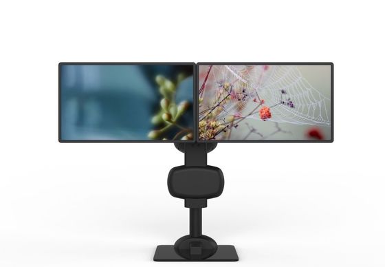 Montage à double moniteur électrique pour soulager les douleurs au cou