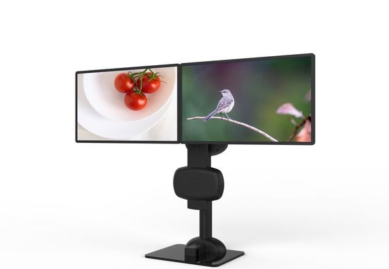 Montage de bras à double moniteur automatique pour soulager les douleurs du cou et des lombes