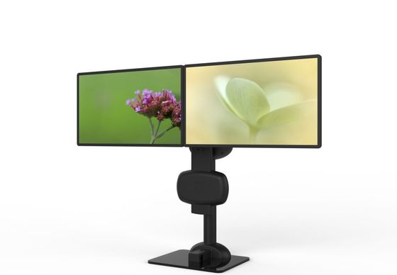 Montage de moniteur double électrique pour soulager la raideur du cou et des lombes