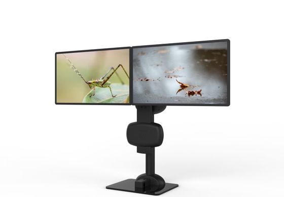 Soutien à double moniteur électrique pour soulager la raideur du cou et des lombes