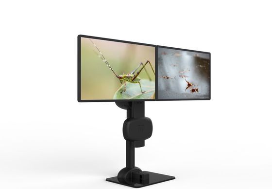 Montage à double moniteur rotatif pour soulager les douleurs au cou et au dos